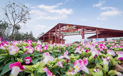 首页|尊龙集团中国官方网站