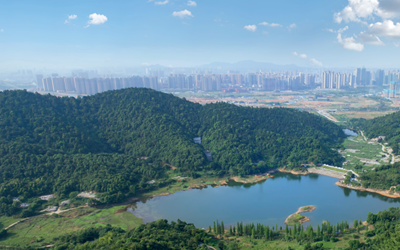 首页|尊龙集团中国官方网站