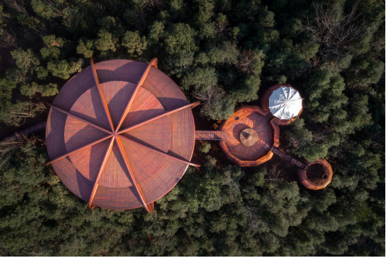 首页|尊龙集团中国官方网站