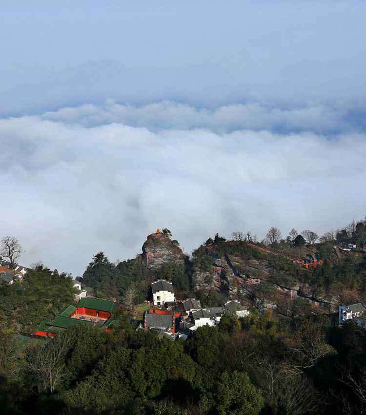 首页|尊龙集团中国官方网站