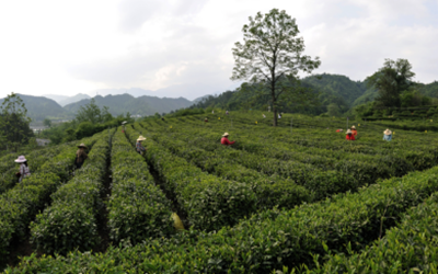 首页|尊龙集团中国官方网站