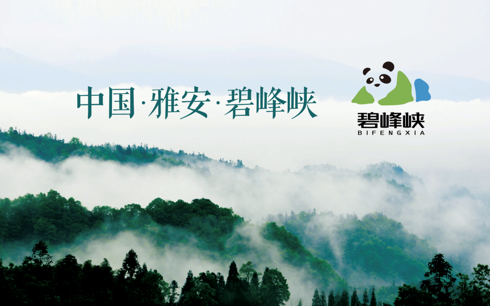 首页|尊龙集团中国官方网站