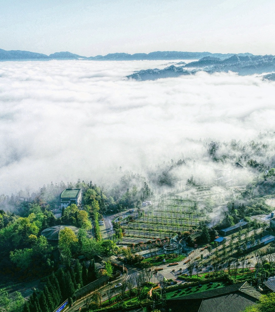 首页|尊龙集团中国官方网站