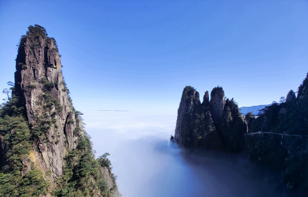 首页|尊龙集团中国官方网站