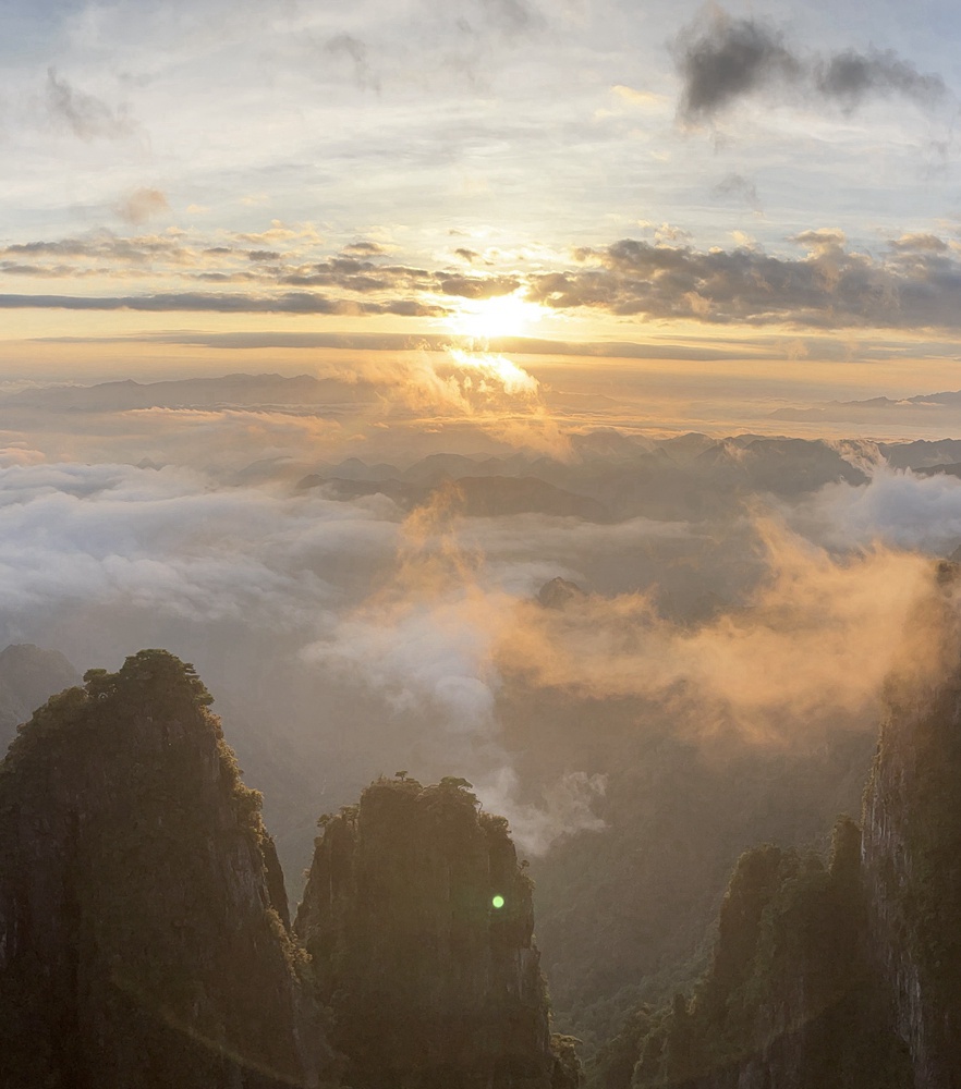 首页|尊龙集团中国官方网站