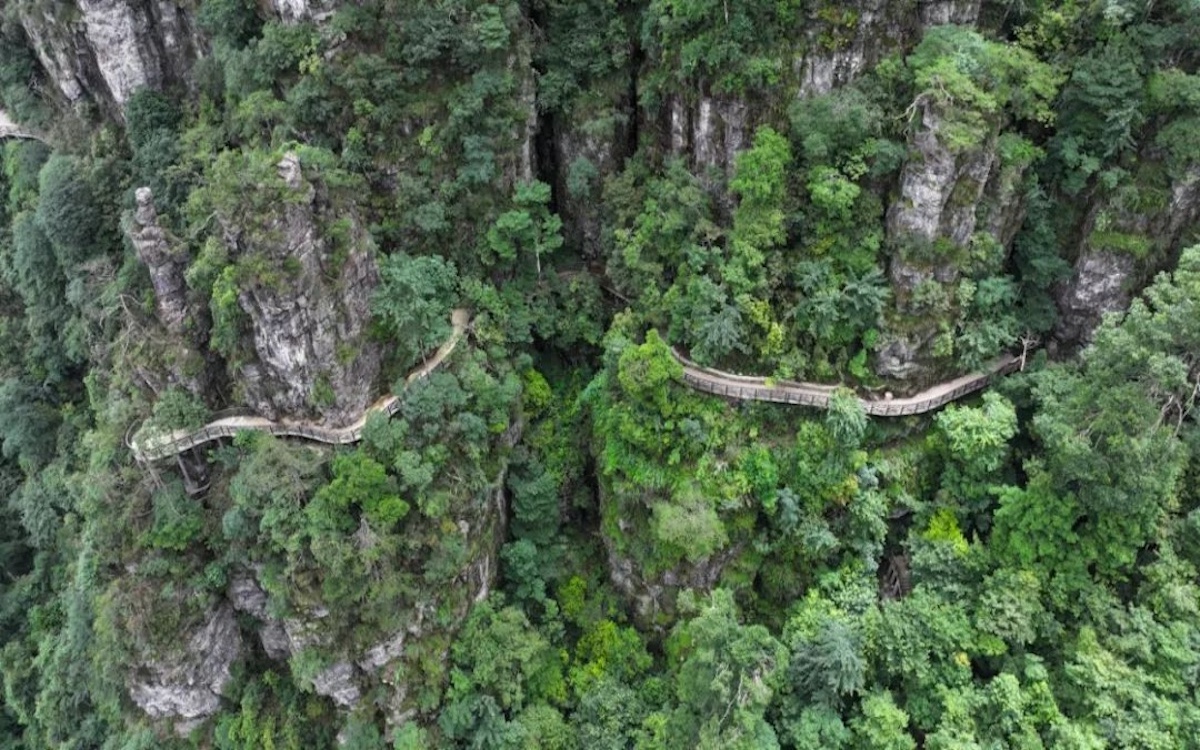 首页|尊龙集团中国官方网站